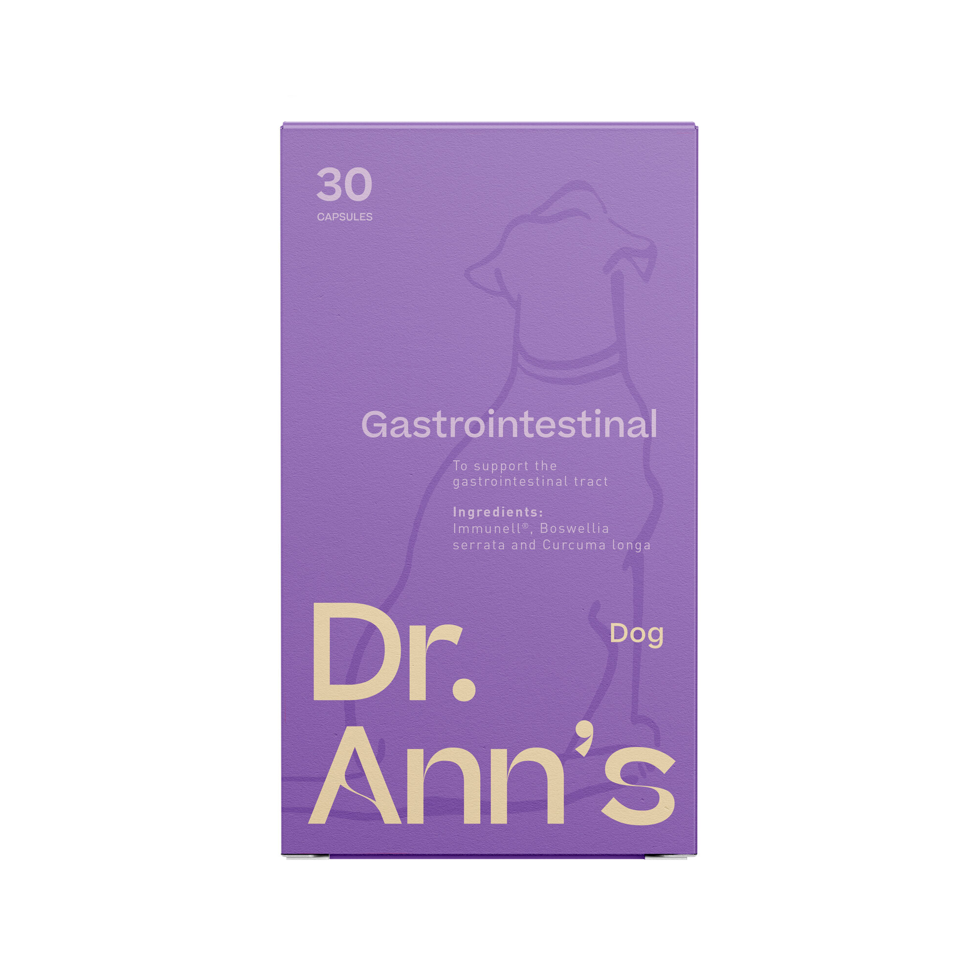 Dr. Ann's Gastrointestinal Support