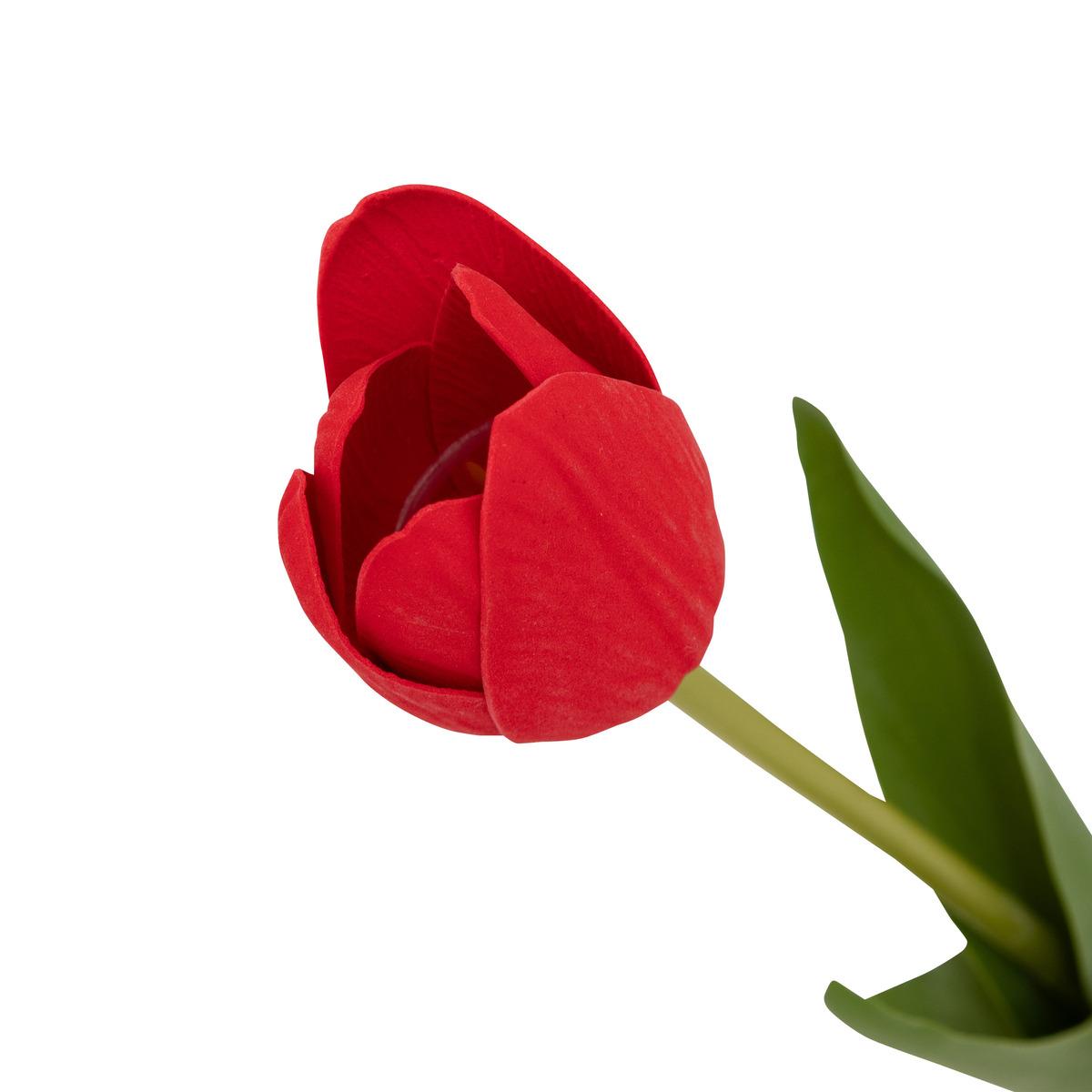 TIGE TULIPE MARTINE H.48CM