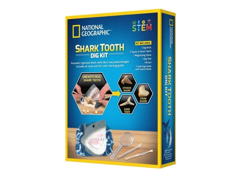 National Geographic Shark Teeth Dig Kit