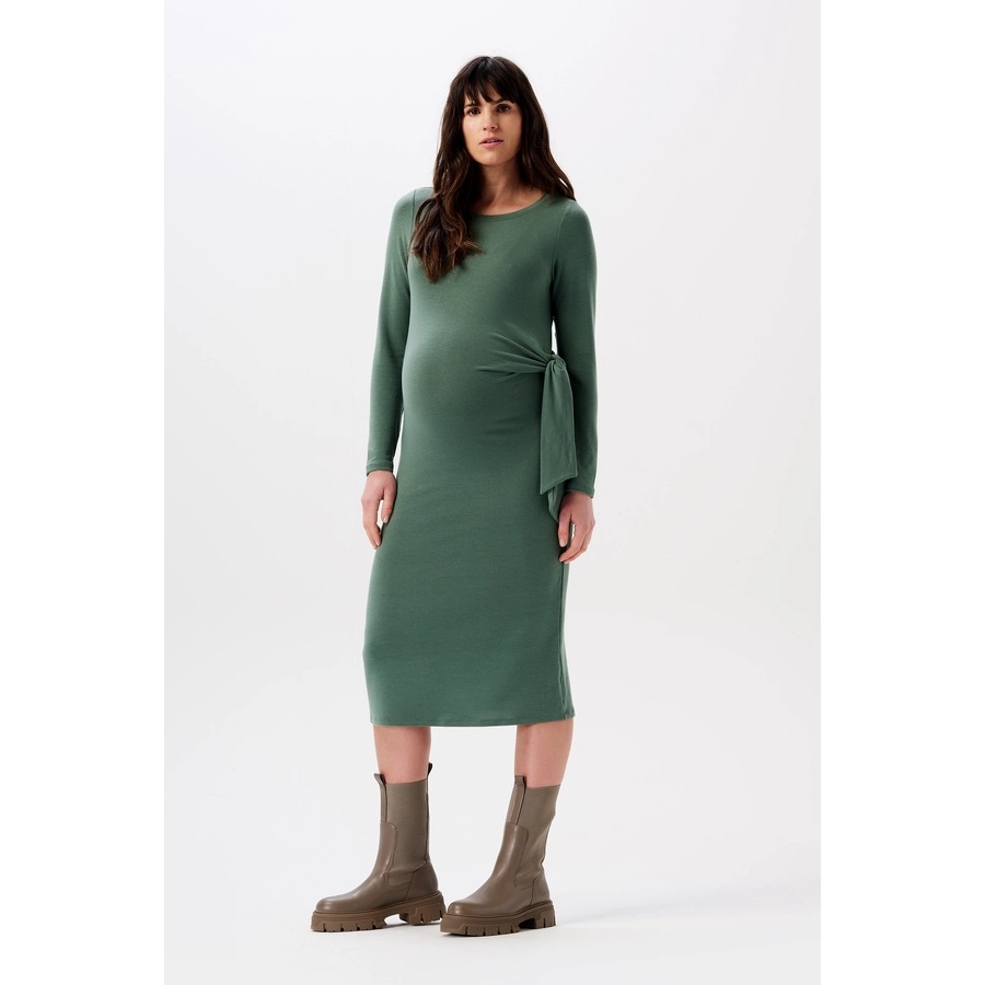 Noppies Kleid Dress Frisco long sleeve Dark Forest