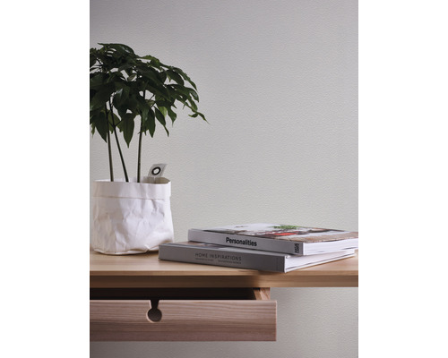 Vliesbehang 1041-13 Master vliesbehang 2020 ProProtect pleister licht