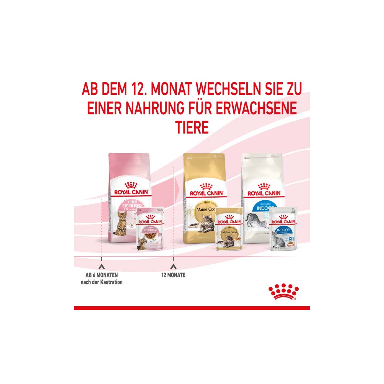 ROYAL CANIN KITTEN STERILISED in Soße 12 x 85g