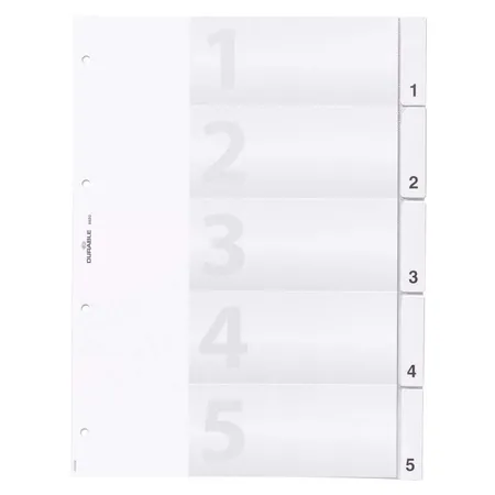 Durable 682019 Register mit umschweißten Taben und Einsteckschildern, 0-5, blanko, transparent