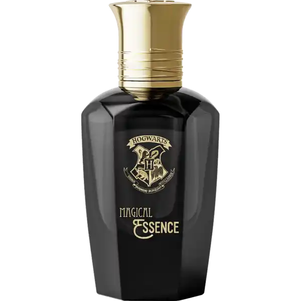 Magical Essence Ambition Man, EdP 50 ml