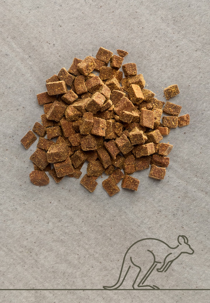 Küngurufleisch-Leckerchen, 100g | 250g | 1000g