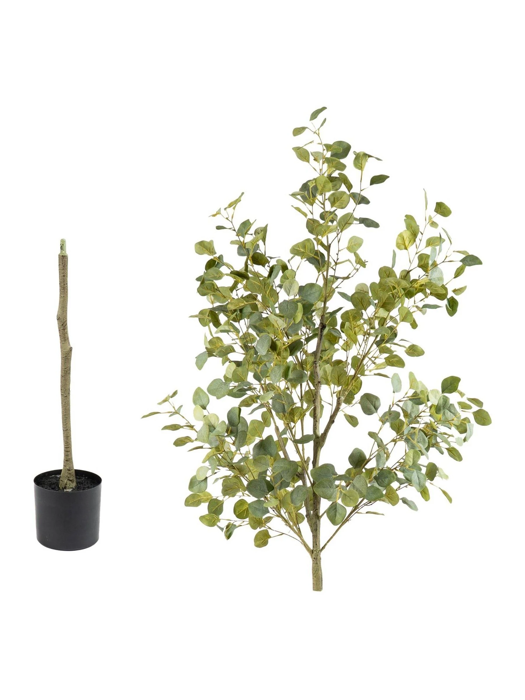 Scottish Everlastings Ltd kunstmatige eucalyptusboom in pot