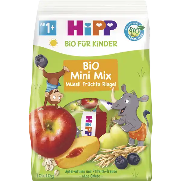 Bio Mini Mix Müesli Früchte Riegel