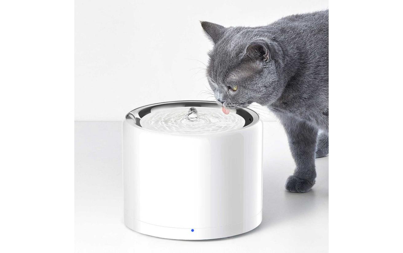 Wasserautomat Eversweet Wireless, Weiss, 1.8 lSmarter Trinkbrunnen für Katzen