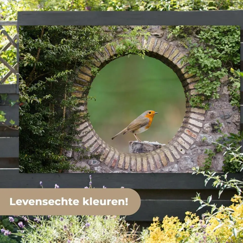 MuchoWow Tuinposter 180x120cm Vogel Doorkijk Roodborstje