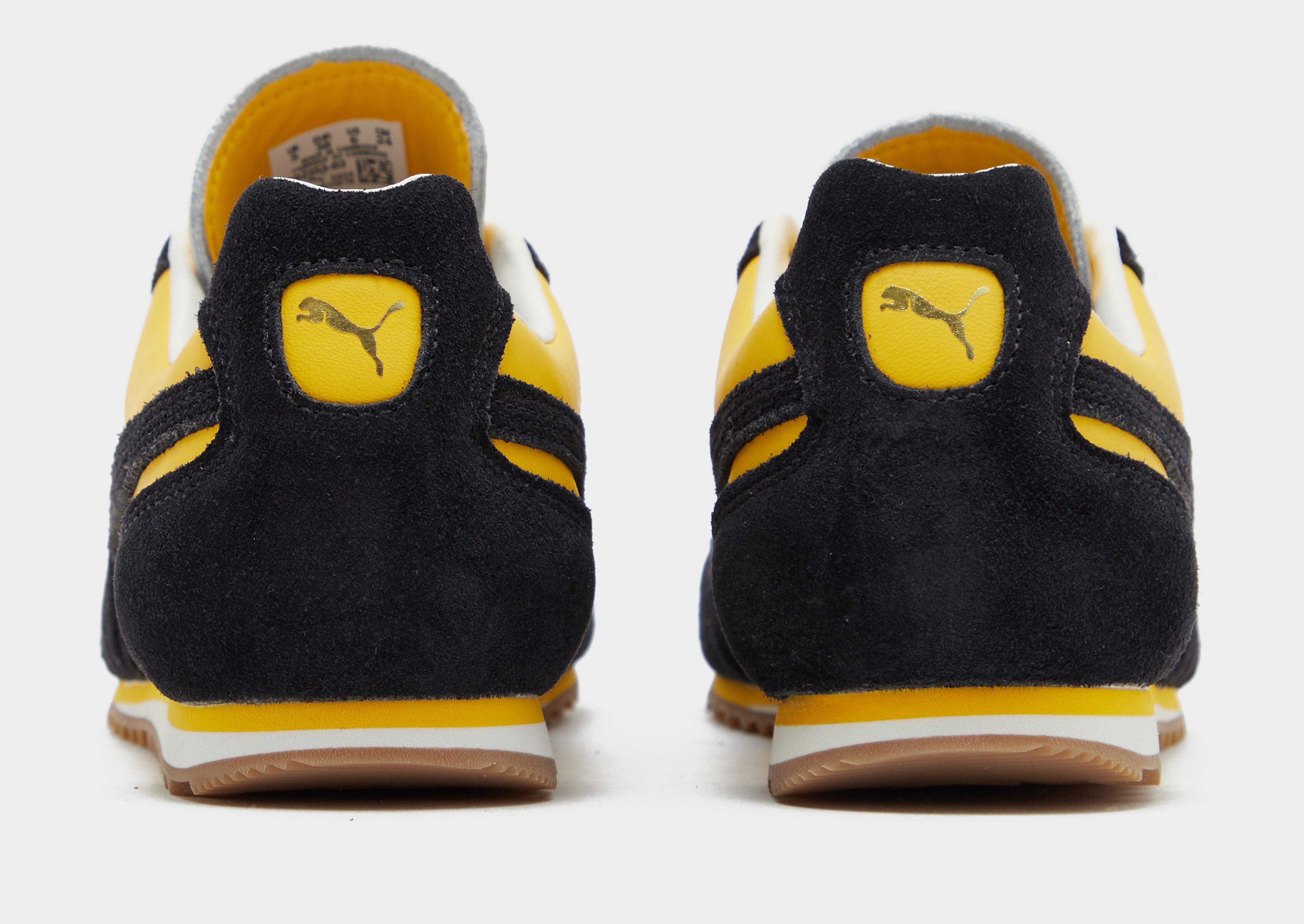 PUMA Arizona Women's