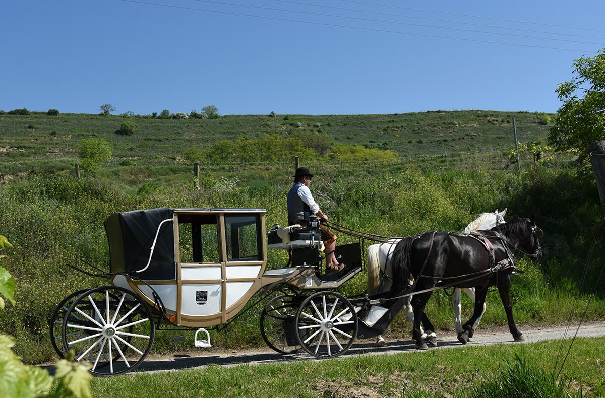 Kutschfahrt Krems an der Donau