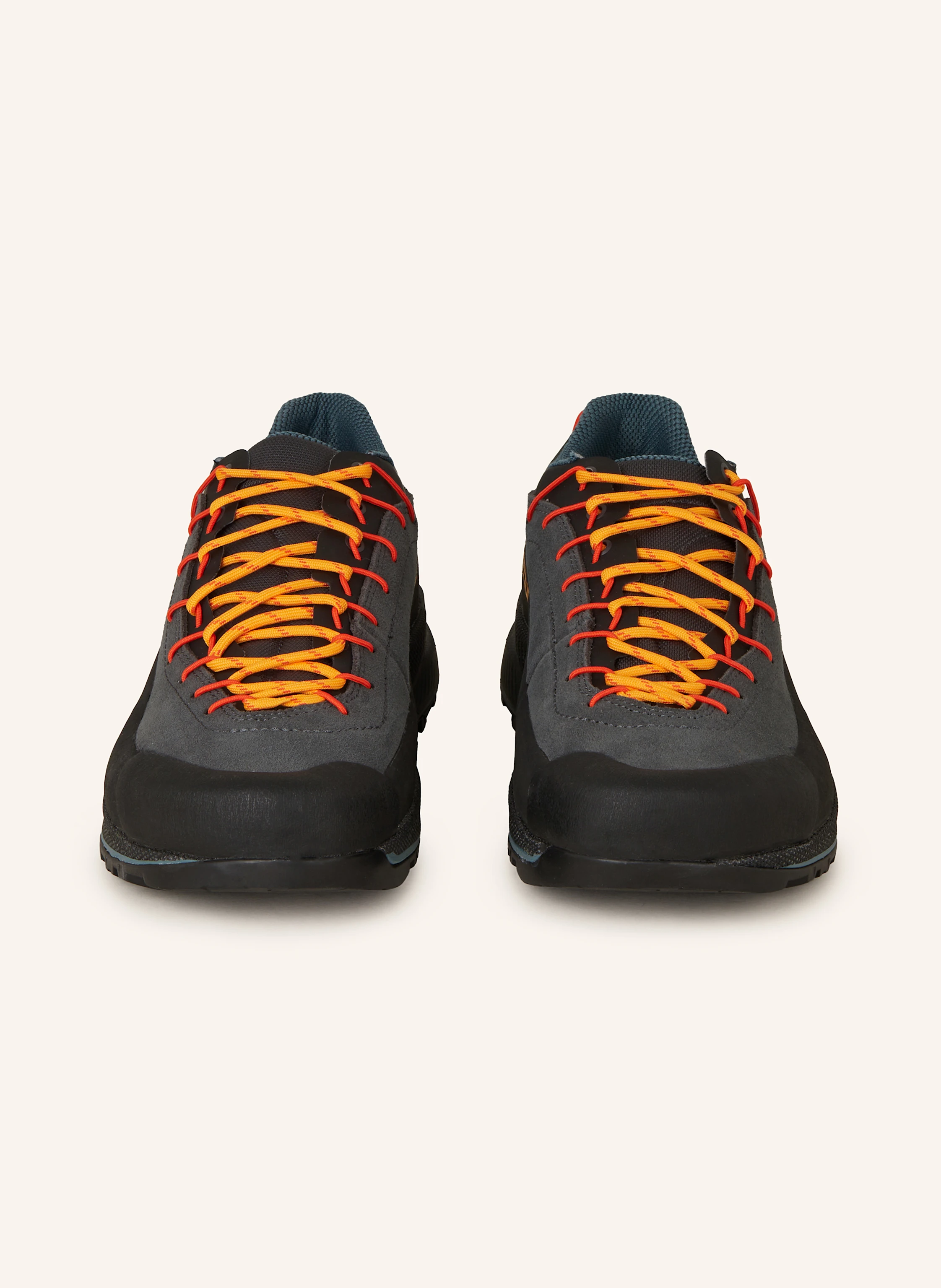 LA SPORTIVA Wanderschuhe TX4 EVO