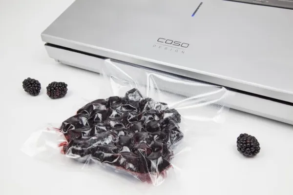 Caso | Bar Vacuum Sealer | GourmetVAC 480 | Effekt 160 W | Sølv
