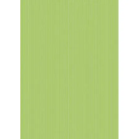 STEWO Geschenkpapier Uni Color hellgrün, 70cm x 2m