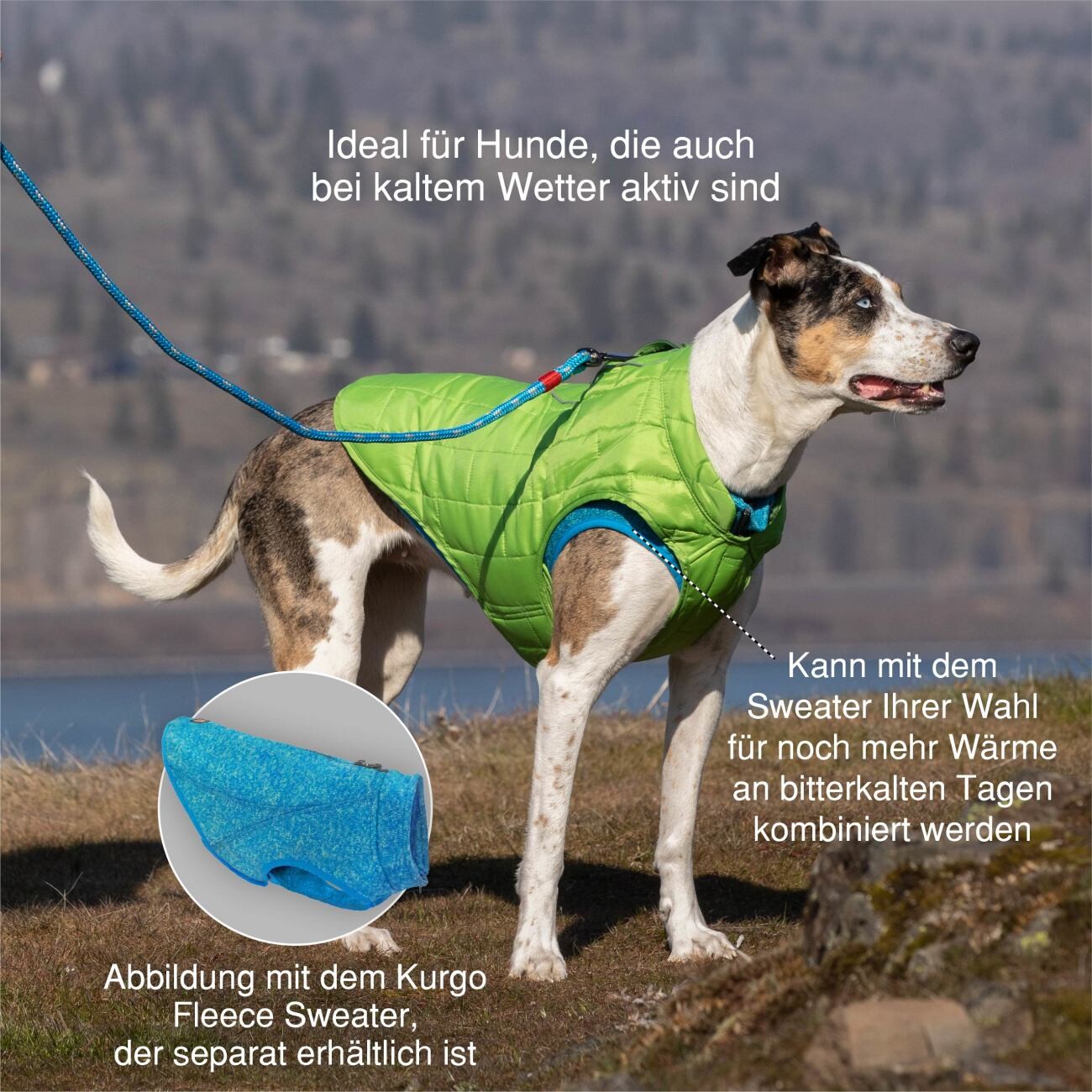 Kurgo Loft Hundejacke grau M