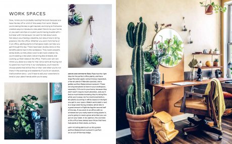 Wild Interiors: Beautiful Plants in Beautiful Spaces (Hardback)