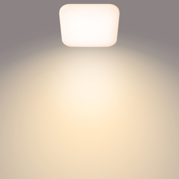 Philips Mauve plafondlamp met geïntegreerde LED 12W wit