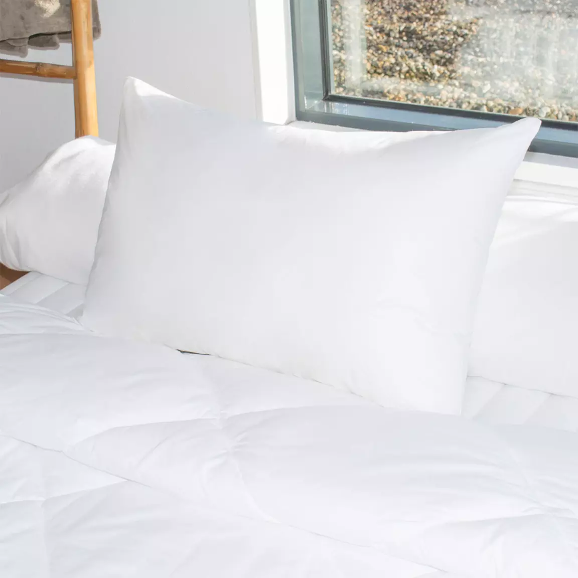 Lot de 2 oreillers rectangulaires (45 x 70 cm) Moelleux Anti-acariens Blanc