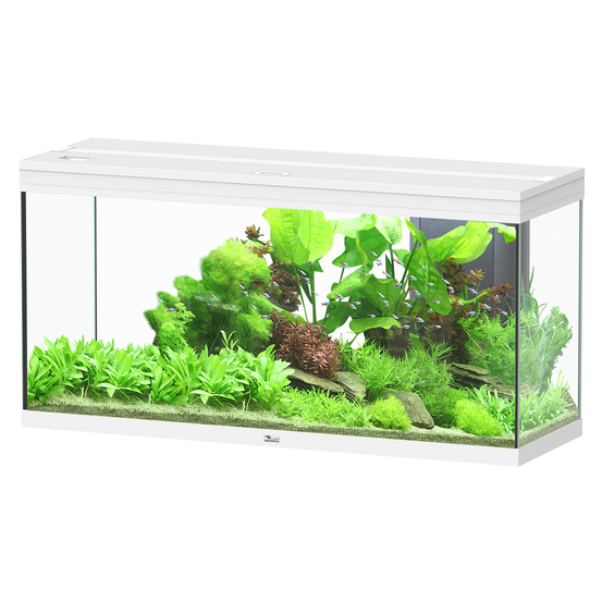 Aquarium équipé Splendid Led 2.0 Blanc L.120xP.40xH.61cm