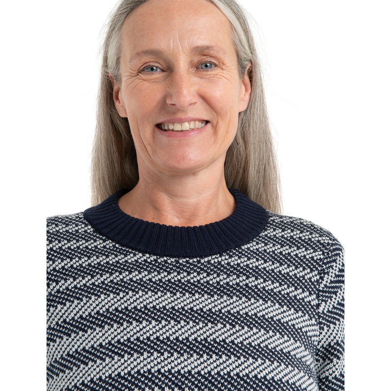 Icebreaker Damen Waypoint Pullover