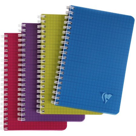 Carnet spirale Linicolor 11 x 17 cm 100 pages