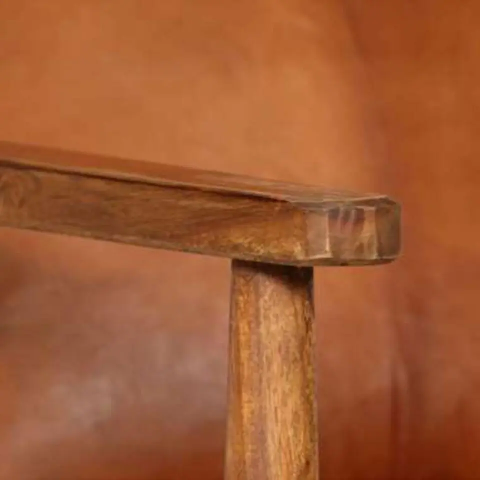 vidaXL - Fauteuil - Bruin - Leer