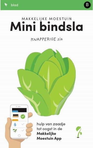 Makkelijke Moestuin groentezaad mini bindsla (Lactuca sativa var. longifolia 'Little Gem')