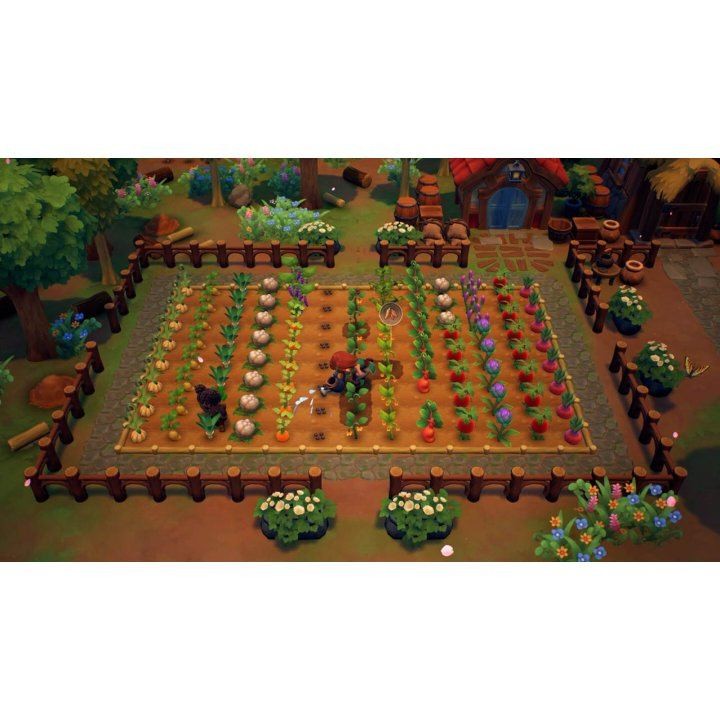 Fae Farm- Nintendo Switch