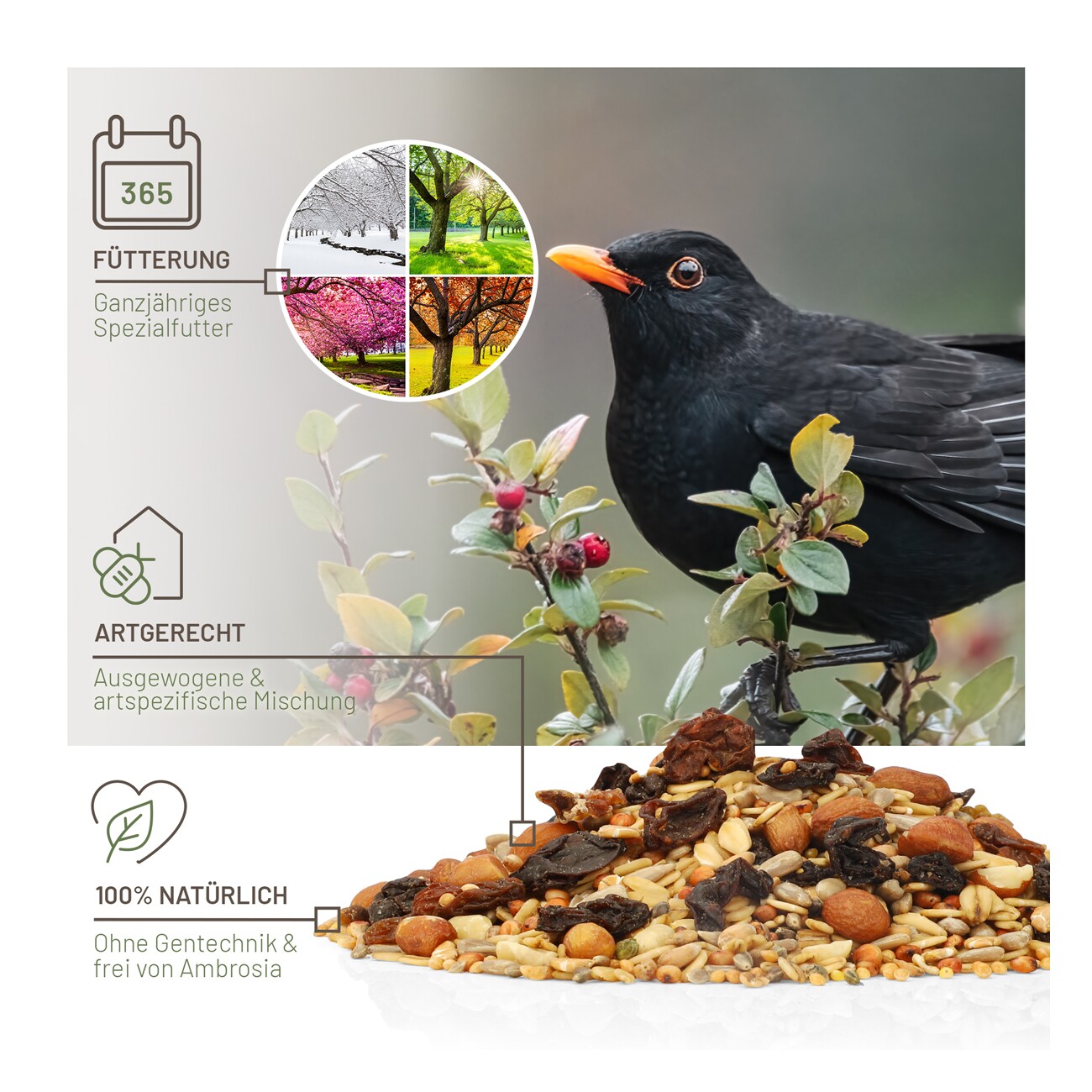 wildtier liebe Futtertraum Amselfutter 5kg