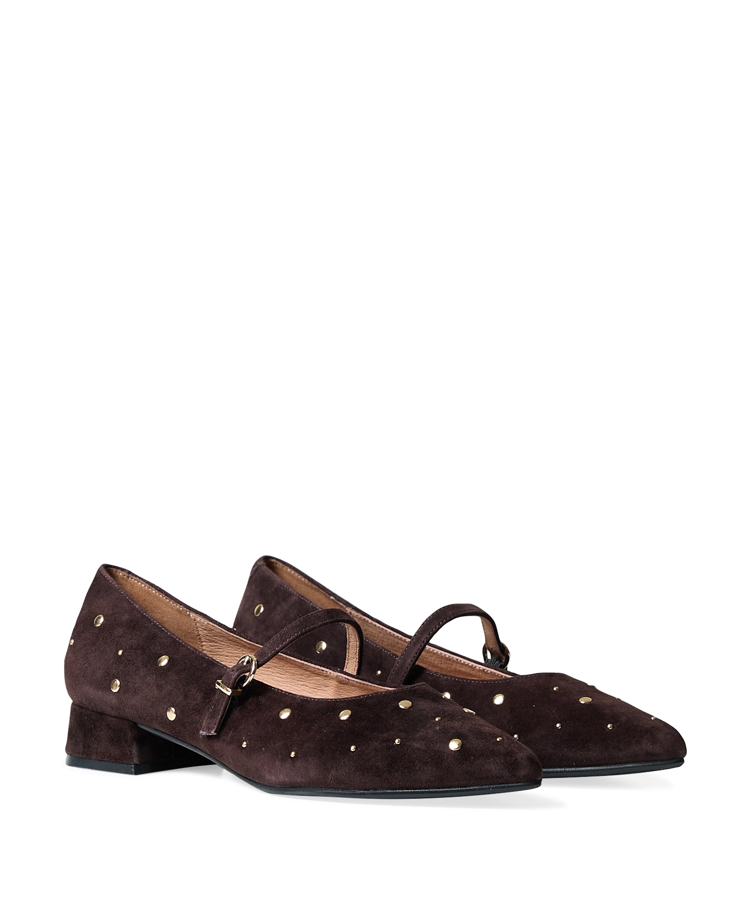 Gioia  Annette dames ballerina's bruin