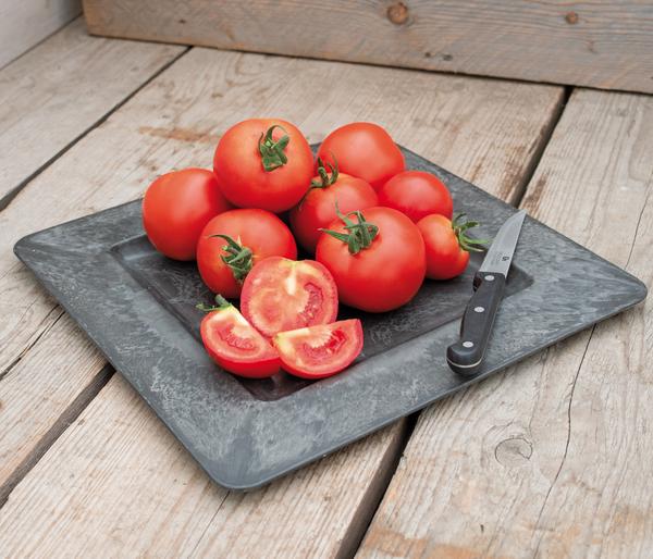 Dehner Premium Samen Rispentomate 'Serrat F1'