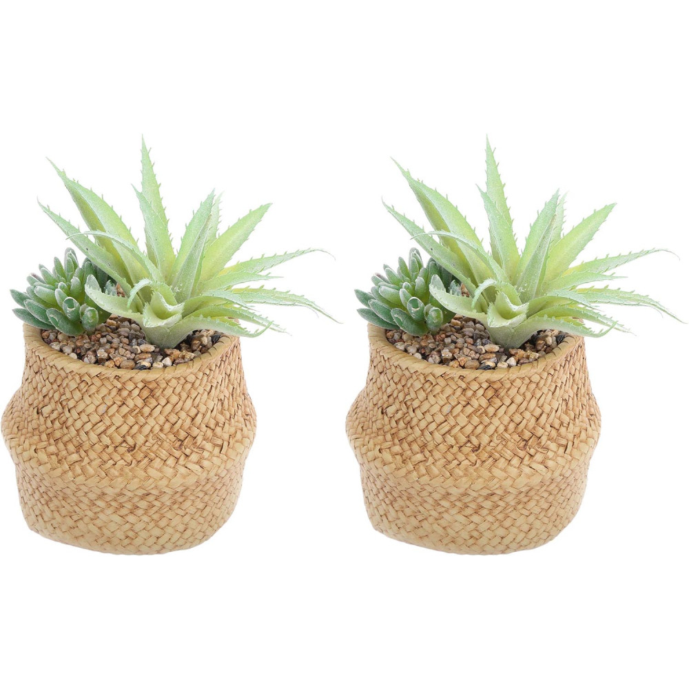 Succulente artificielle dans pot tressé 22 x 14 cm (lot de 2)