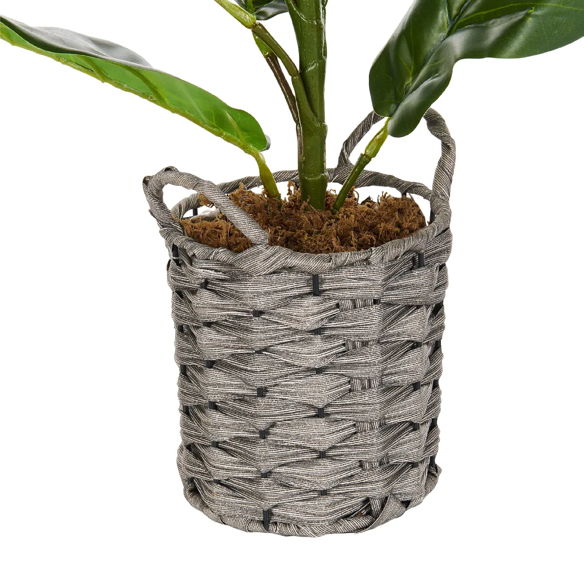 BELIANI FIDDLE LEAF TREE 72 cm - Vert