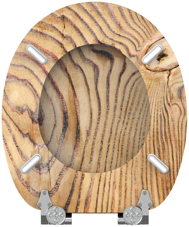 Sanilo WC-Sitz »Grain« mit Absenkautomatik