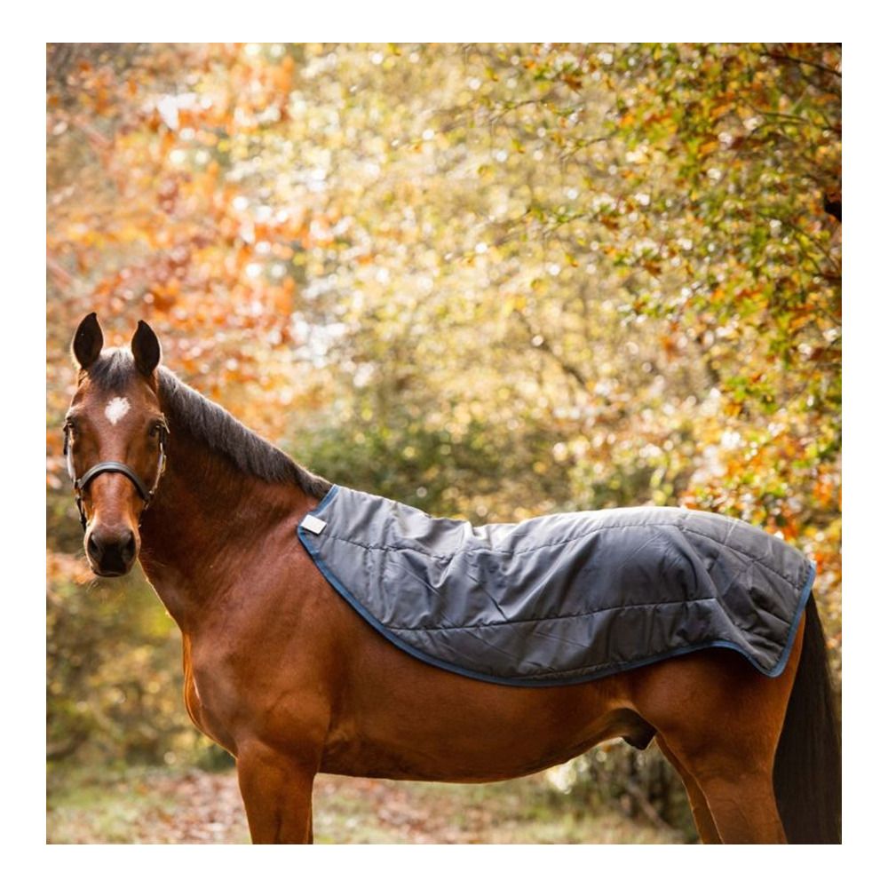 Horseware RAMBO AUTUMN SERIES 900G 100G - Couverture de paddock navy/grey
