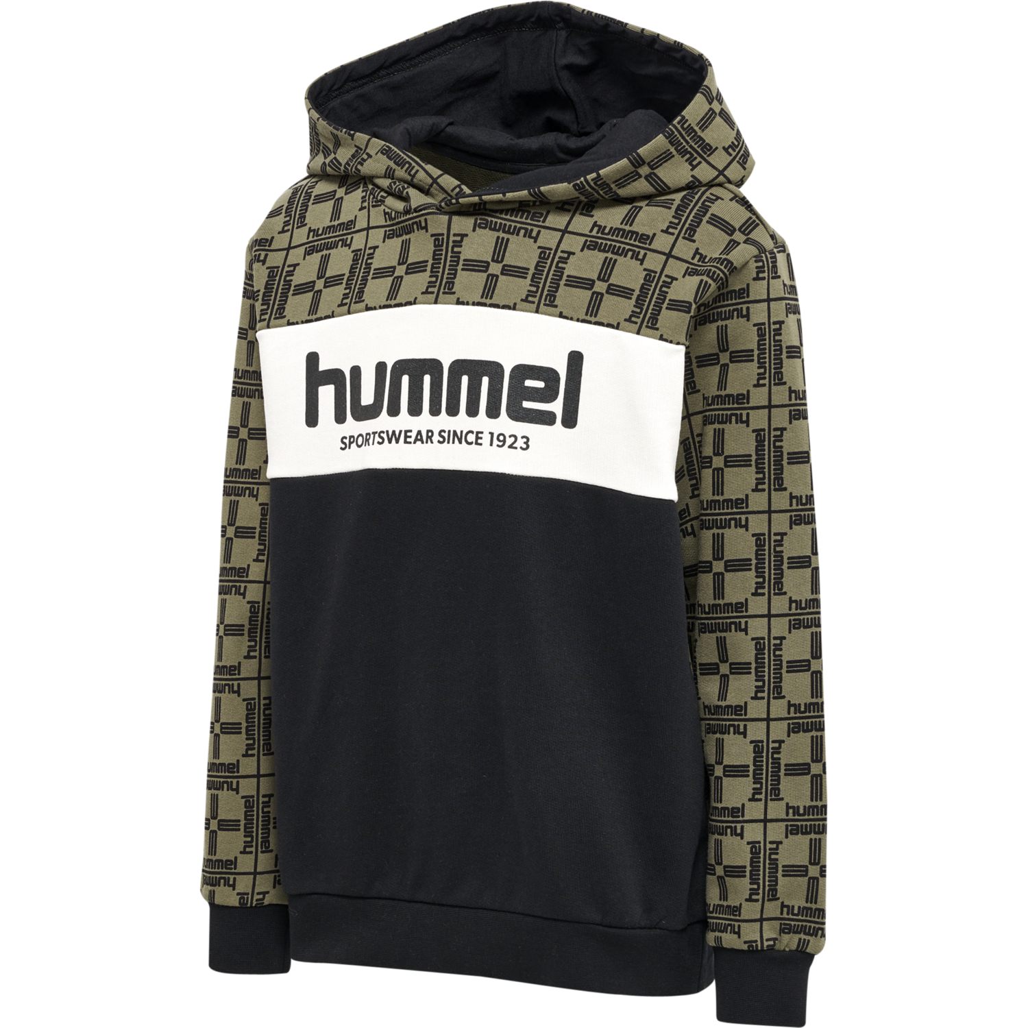 hmlCOLDEN HOODIE
