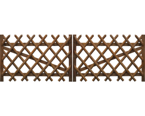 Dubbele poort, schutting, 300 x 79 cm, drukgeïmpregneerd
