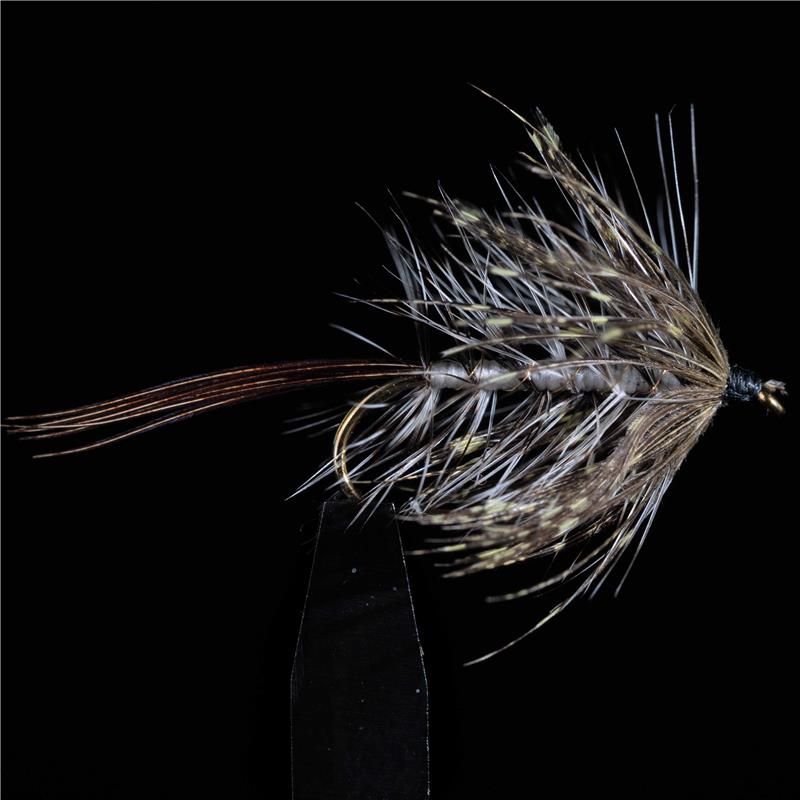 Mouche Jmc Ephemeres Mai 1 - Par 3