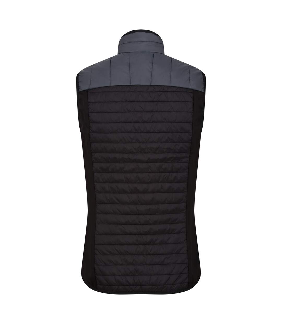 Regatta - Veste sans manches TRUTTON - Femme (Gris phoque / Noir) - UTRG9442