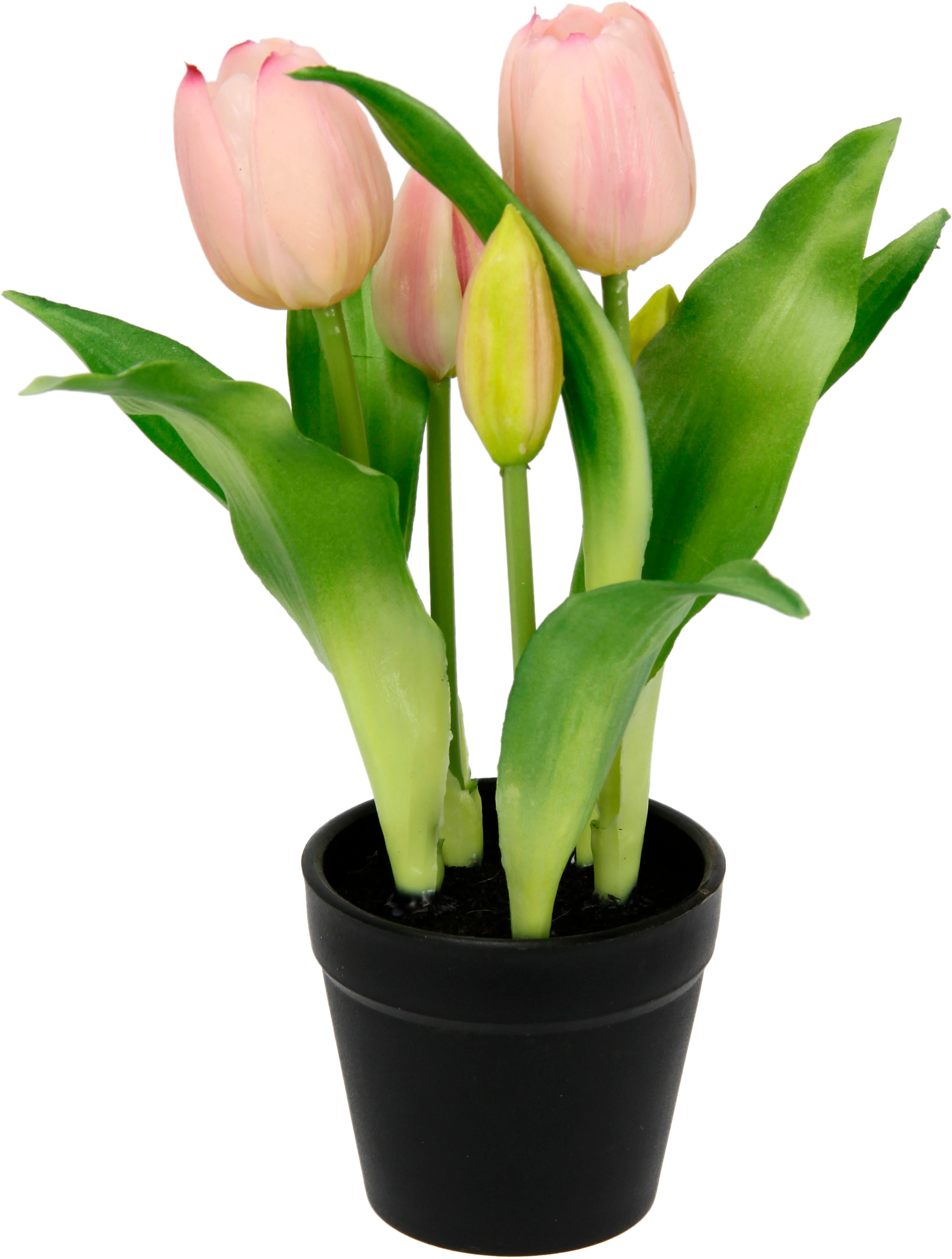 I.GE.A. Kunstblume »Tulpen«