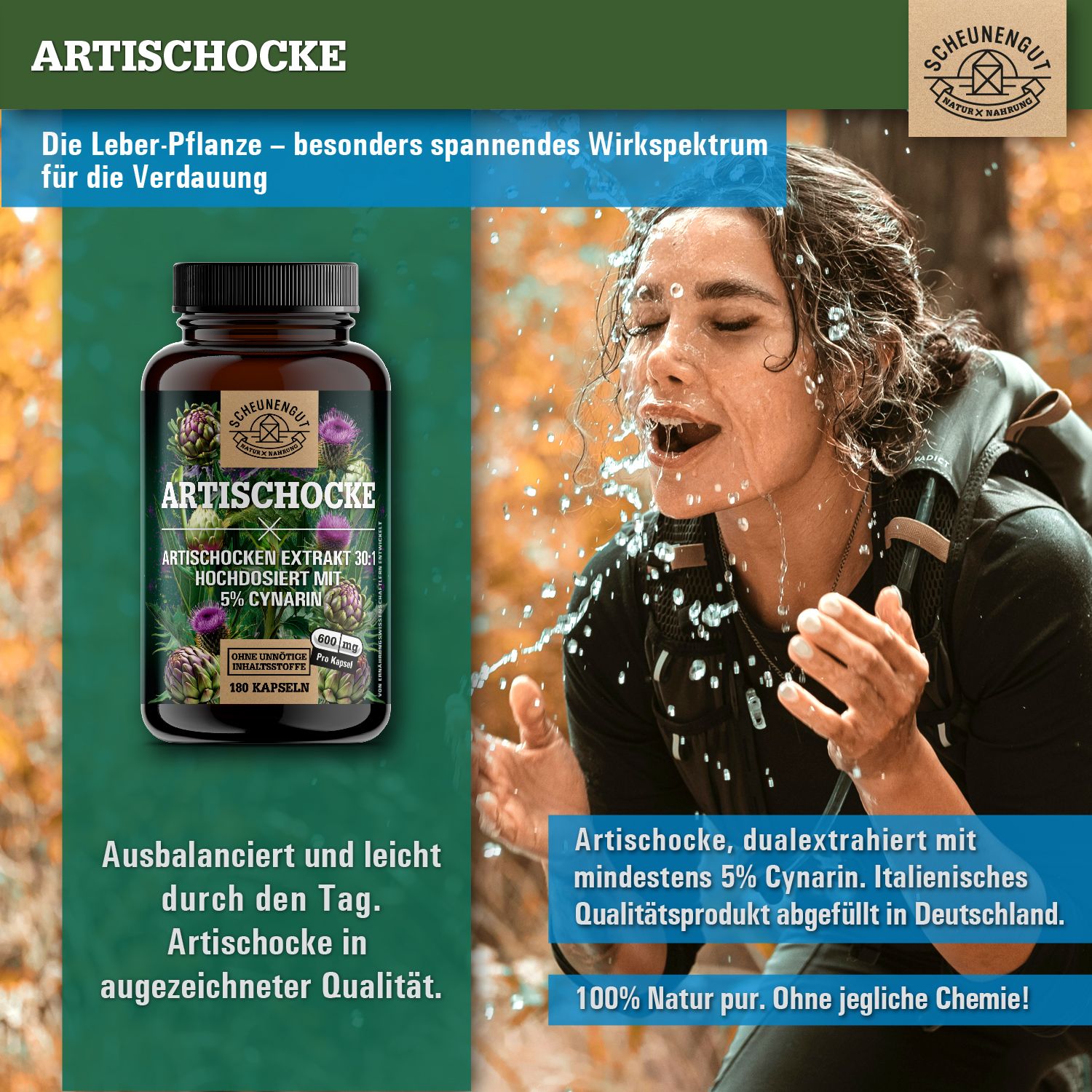 Scheunengut® Artischocken Extrakt 30:1 | Hochdosiert mit mindestens 30mg Bitterstoffen | 100% rein