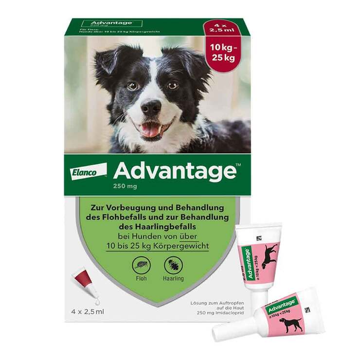 Advantage 250 für Hunde von 10-25 kg, 4 St