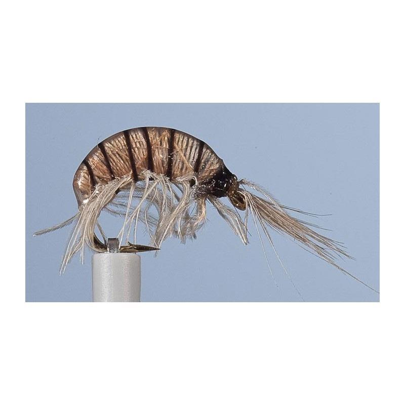 Mouche Jmc Nymphe Jcc 120