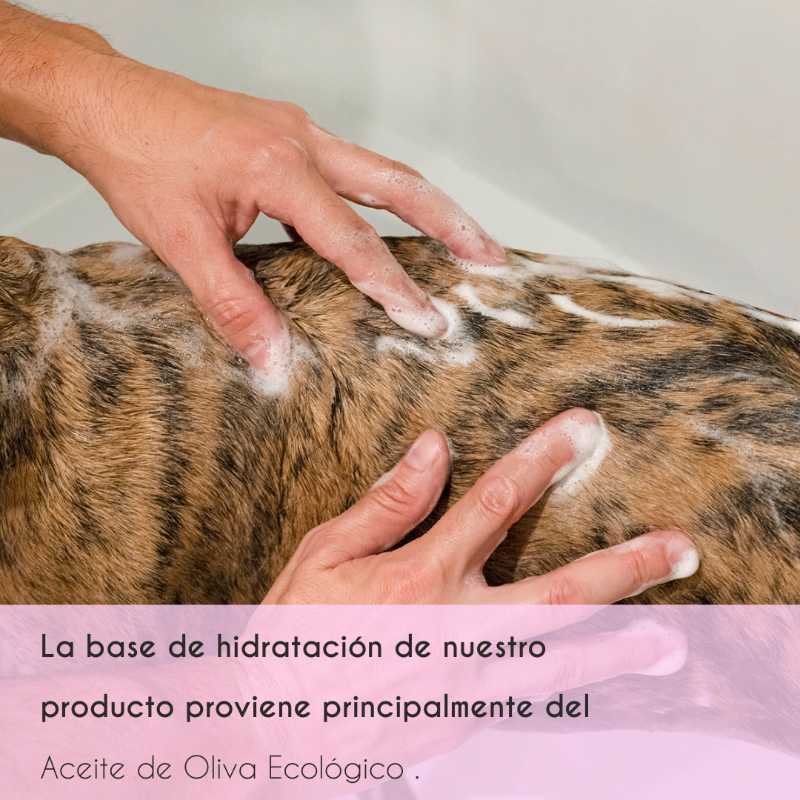 Kit Petuxe com shampoo, máscara e condicionador para animais de estimação.