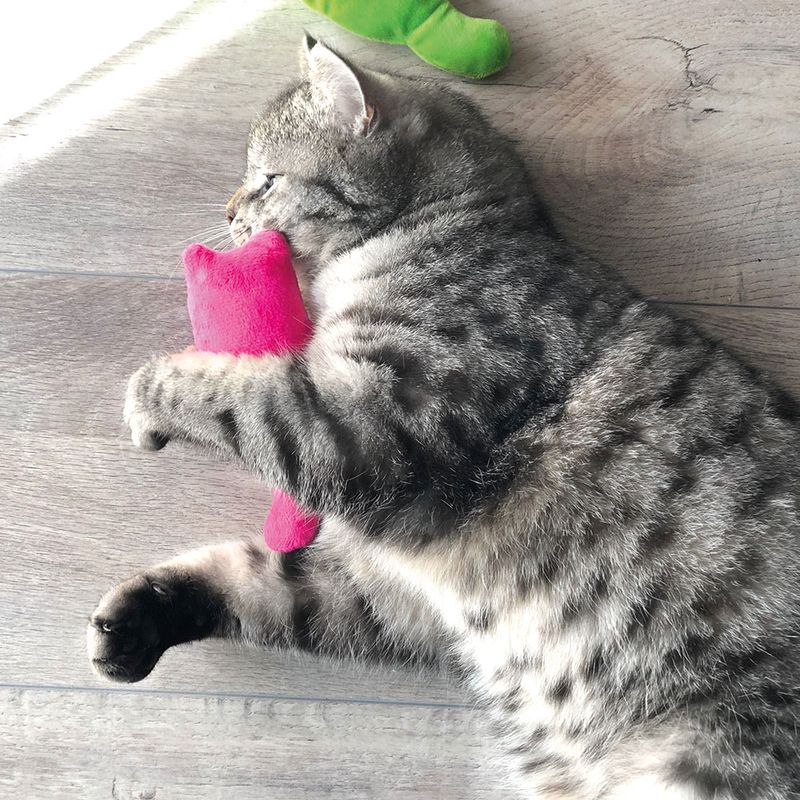 Coussins de jeu Aumüller Chats en peluche