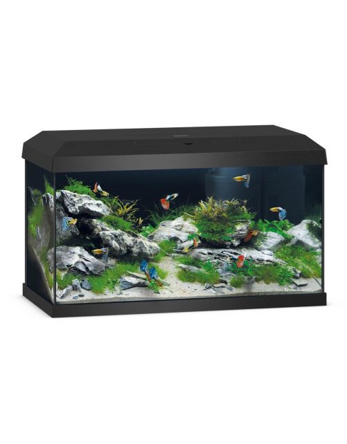 Juwel Aquarium Primo 60 2.0 - Aquaria - 61x31x37 cm Zwart