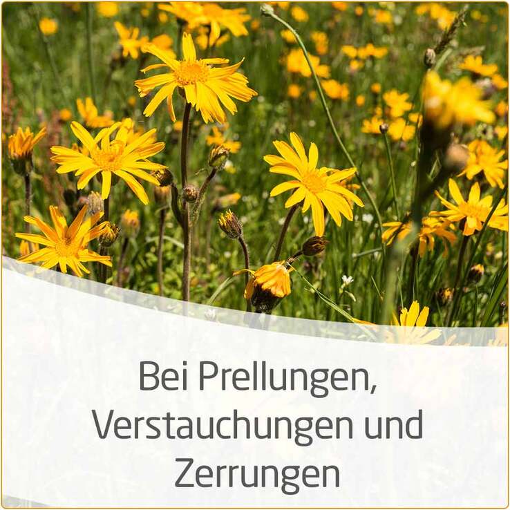 Arnika-Salbe 30% zur Behandlung stumpfer Verletzungen, 25 g