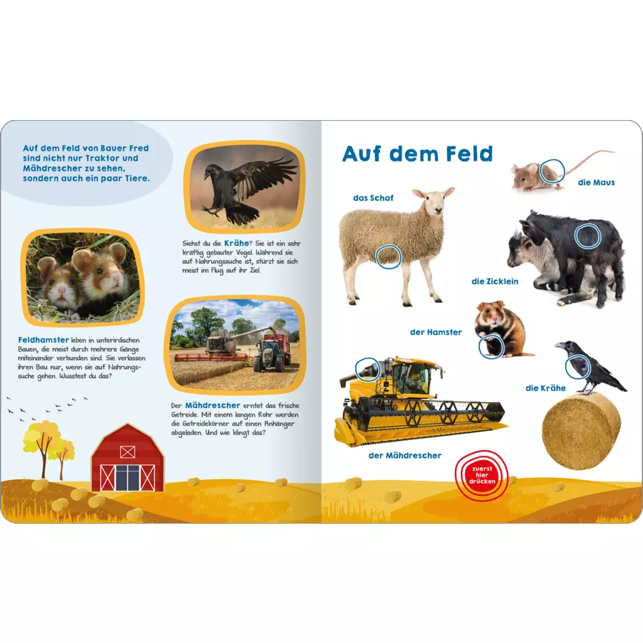 arsEdition Mein großes Geräuschebuch – Bauernhof