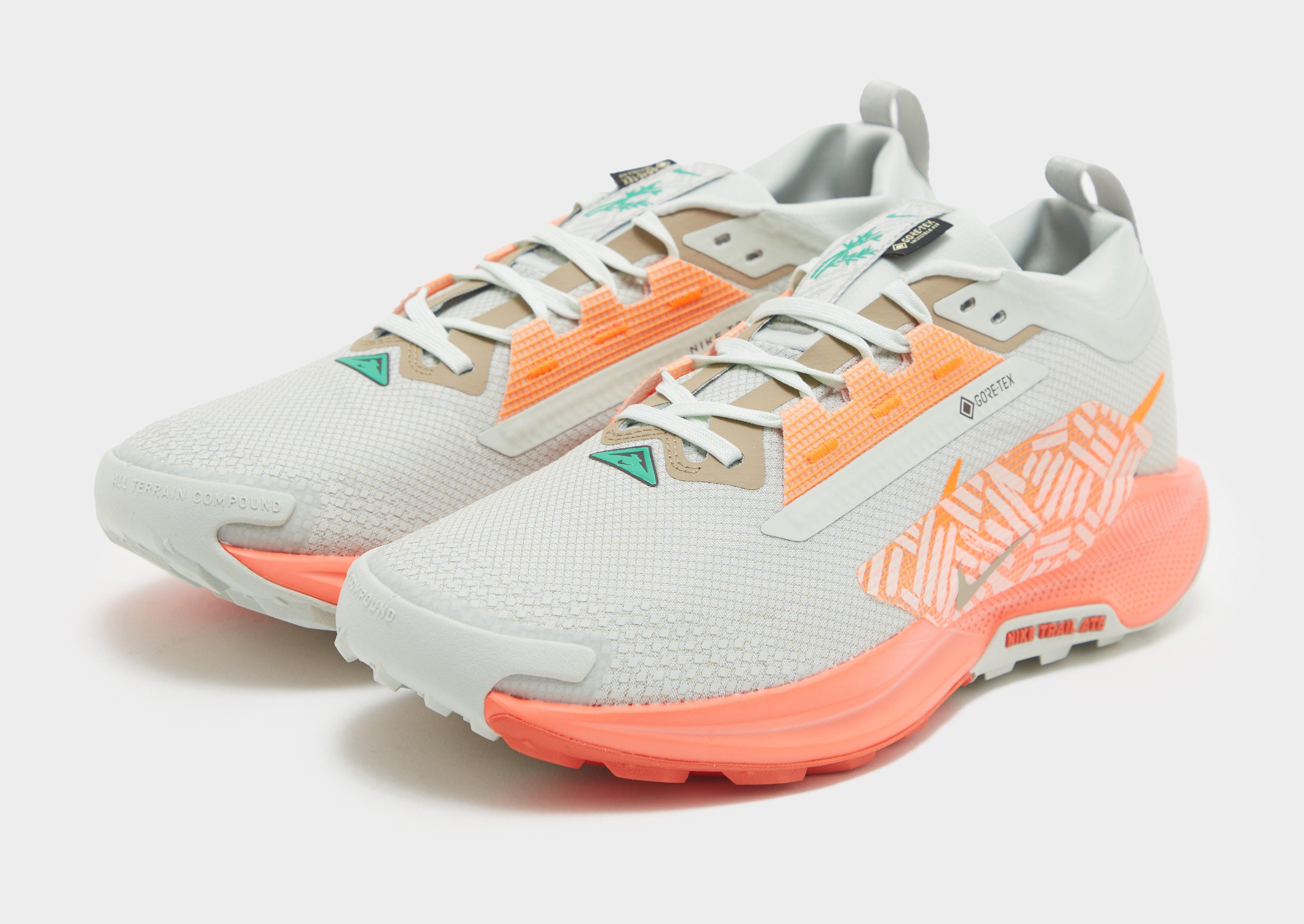 Nike Pegasus Trail 5 GORE-TEX Homme