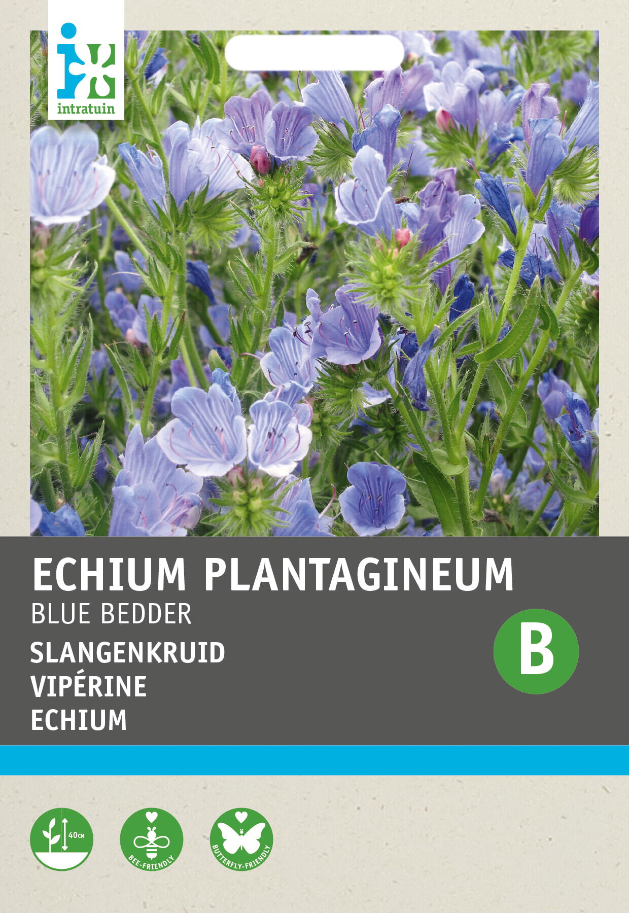 Intratuin bloemenzaad Slangenkruid (Echium plantagineum 'Blue Bedder')